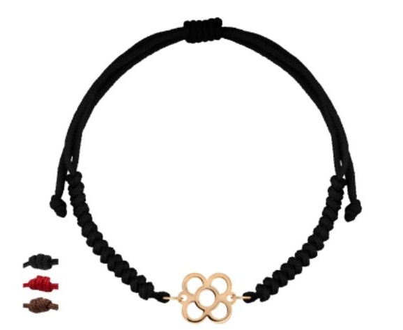 Captura de pantalla 2026-01-30 172858